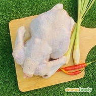 Ayam Kampung Segar (Organik)  1.5kg-2kg [KLANG VALLEY ONLY]