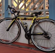Java Siluro 黑色綠色公路單車