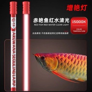 仟魚Arowana Tanning Light 120cm 4.5ft to 5ft Tank (New Model)
