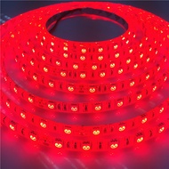 24V Light Strip 24V Light Strip LED Light Strip 24V Light Strip 24V Light Strip 24V Light Strip Exhi