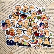 27pcs AESTHETIC CAT STICKER/pack cat sticker/ cat sticker/ cute cat sticker/ deco sticker/ cute cat 