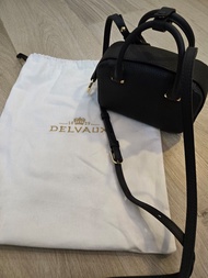 Delvaux cool box nano
