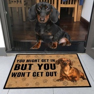 2021Dachshund Dog Doormat Dachshund 3D Printed My Dog Doormat Non Slip Door Floor Mats Decor Porch Doormat