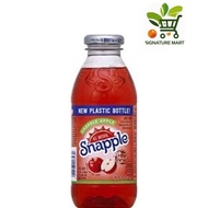 Snapple Plastic Bottle Apple 473ml