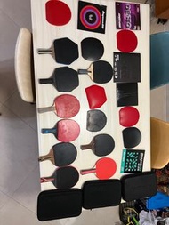 乒乓球拍和膠皮  非 Butterfly Sitga 紅雙喜 狂飆 ALC VIS 橫板 直拍 橫拍 樊振東 許昕 藍標 張A 本A 樊A