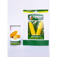 ♞,♘Condor Bravado F1 Hybrid Sweet Corn Seeds