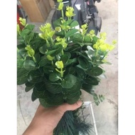 Combo of 10 apple branches with rose leaves decorated with flowers