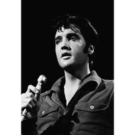 Elvis Presley Rock and Roll Music Poster Photo Picture In The Room Wall Decoration Band