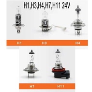24V H1 H3 H4 75 / 70W 100 / 90W H7 H11 High Power Car Halogen Headlight Lamp Bulb Lorry Truck
