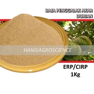 Baja Akar Durian ERP/CIRP - 1Kg - Pertumbuhan Akar Pokok Durian