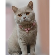 MOONRIX Sweet Candy Pastel Pet Necklace Cats | Handmade Pink Beaded Collar with Bell