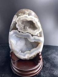 原皮烏拉圭異象恐龍蛋