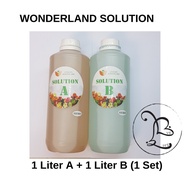 (200L) 1L+1L Baja AB ~ Fertigasi Hidroponik & tanaman tanah (Fertilizer AB hydroponic & soil plantin