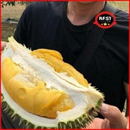 Duren / Durian Sultan Musang King 1 Buah Utuh (Bukan Durian Kupas) -