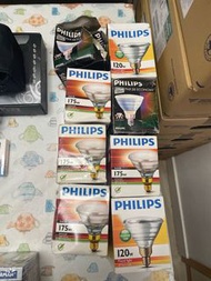 Philips燈膽
