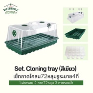 Set Cloning tray 72หลุม ถาดโคลนสีเขียว ถาดเพาะเมล็ด ถาดหลุม ถาดปักชำ ถาดเพาะปลูก ถาดโคลนนิ่ง กล่องเพ