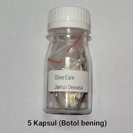 Olive Care Original Obat Vitamin Kucing Scabies Jamur Parasit Kulit Telur Kutu Kucing Dewasa