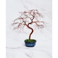 Bonsai Wire Tree Sculpture (Bronze tree)