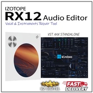 Izotope RX12 Audio Repair Assistant Tool  VSTAAX For Windows DAW