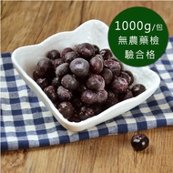 免運【幸美生技】進口急凍莓果-栽種藍莓2公斤
