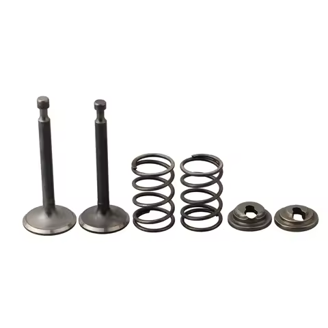 Valve Retainer Spring Kit for Honda For GX200 168F 170F 5.5HP 6.5HP Engine Replacement for OEM 14711