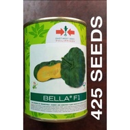 ❡☃BELLA F1 HYBRID SQUASH SEEDS 425 SEEDS (EAST WEST SEEDS)