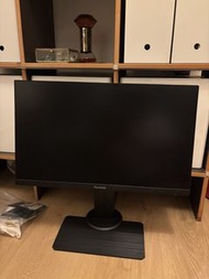 ViewSonic XG2405 Monitor