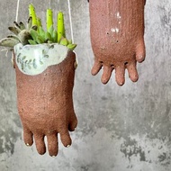 小手多肉植物盆栽