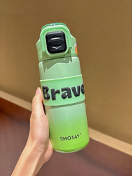 Stylish School Insulated Water Bottle