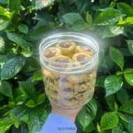 Biskut Raya Tart Nutella / Tart Chocolate (34 pcs) 🍫