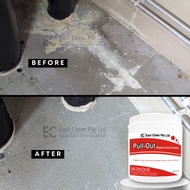 Pull-Out for Efflorescence Removal by East Chem | Removal of Salt Build-Up | | Toilet Limescale Remo