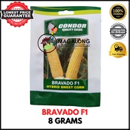 CONDOR SEEDS - HYBRID SWEET CORN SEEDS - BRAVADO F1 - 8 GRAMS