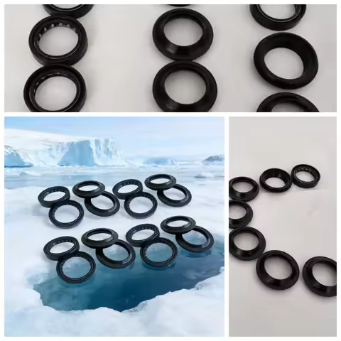 43x55x11 Front Fork Oil Seal for Yamaha FZS1000 FZ1 FZ6 MT01 for Honda CBR1000RR SP for Triumph 1050