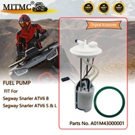 Fuel Pump For Segway Snarler ATV6 B ATV6 S & L ATV Quad  go kart parts A01M43000001