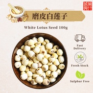 磨皮白莲子 | White Lotus Seed | Bai Lian Zi 【100g】