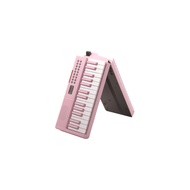 Foldable Rechargeable Electronic Piano, 61 Keyboard Beginner Home Electronic Keyboard, Adult Practic