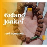 gelang jenitri original