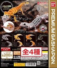 (扭蛋)豪華可動大圖鑑系列 豹紋守宮