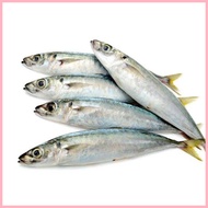 ◪ ♈ FRESH SEAFOODS GALUNGGONG