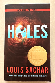 HOLES 原文小說
