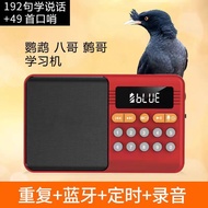 Bird Learning Machine Parrot Talking Machine Starling Repeater Teaching Bird to Speak Myna Talking R