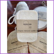 ◈ ❏ ❥ COMPRESSED LOOFAH SCRUB BY SKYRIE USA / LOOFAH / PATOLA SCRUB