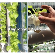 Hydroponic System Hydroponics Farming System Hidroponik Set DIY Home Apartment Balcony Sistem Hidrop