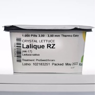 Lalique Crystal Lettuce Seeds  50, 100, 200 &amp; 1000 Pills  Rijk Zwaan