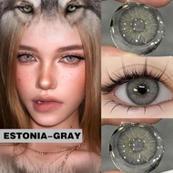 Eyeshare Contact lens 14.5MM ESTONIA gray Eyes Colored Contact Lenses Fashion Lenses