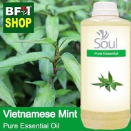 Pure Essential Oil (EO) - Mint - Mint ( Persicaria Odorata ) Essential Oil - 1L