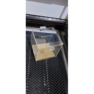 Charity box, piggy bank, savings 15x10x15