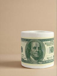 Creative Dollar Print Colored Toilet Paper 2-Ply With Tube
