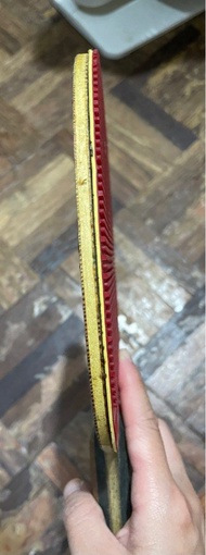 Donic 球拍
