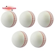 Sports Cricket, Training Cricket, Sports Wind Swing Rebound  Cricket, Elastic Decompression Ball
